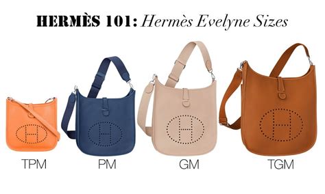 hermes clemence bag sizes|Hermes evelyne bag pre owned.